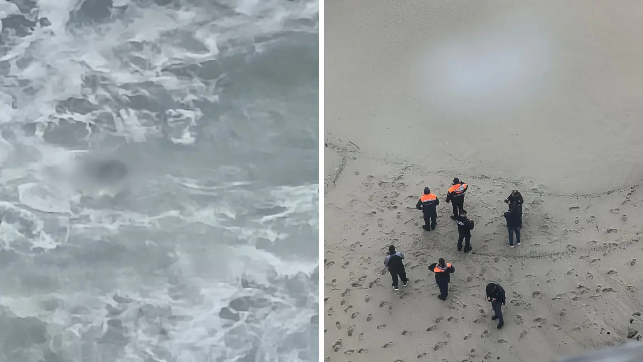 <p>Il Tirreno in tempesta restituisce altri due <span style=\"color:hsl(0, 75%, 60%);\">cadaveri a Tropea</span>, sono cinque quelli rinvenuti negli ultimi dieci giorni </p>