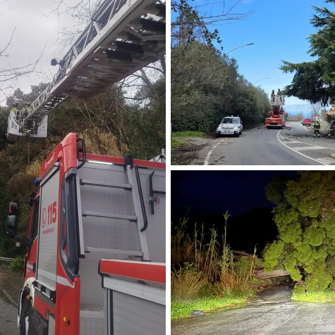 Maltempo nel Vibonese, diverse strade chiuse per frane e alberi caduti. Il prefetto convoca d’urgenza il Centro coordinamento soccorsi\n