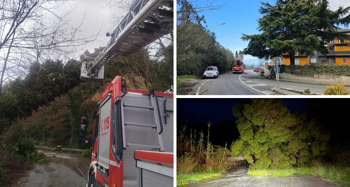 Maltempo nel Vibonese, diverse strade chiuse per frane e alberi caduti. Il prefetto convoca d’urgenza il Centro coordinamento soccorsi\n