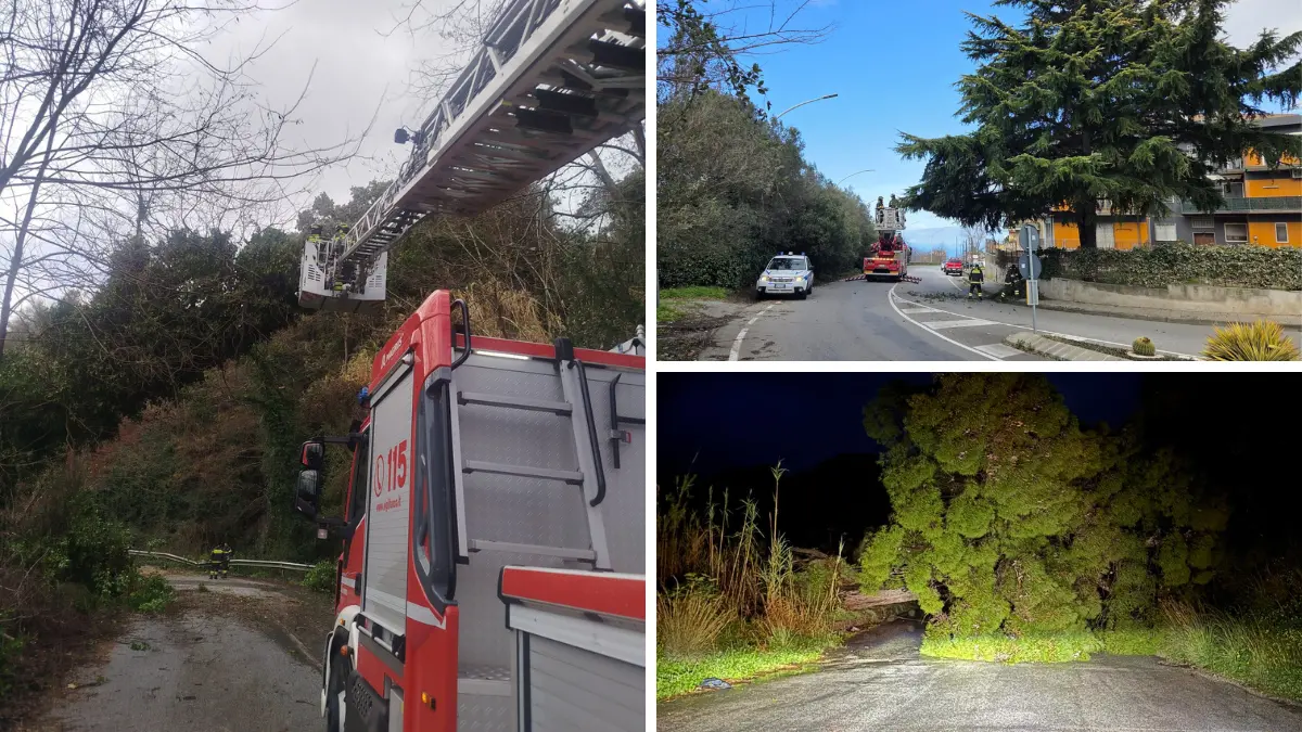 Maltempo nel Vibonese, diverse strade chiuse per frane e alberi caduti. Il prefetto convoca d’urgenza il Centro coordinamento soccorsi\n