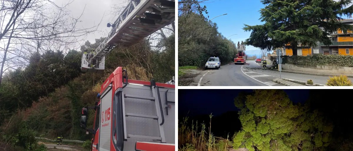 Maltempo nel Vibonese, diverse strade chiuse per frane e alberi caduti. Il prefetto convoca d’urgenza il Centro coordinamento soccorsi\n