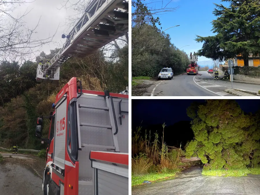 Maltempo nel Vibonese, diverse strade chiuse per frane e alberi caduti. Il prefetto convoca d’urgenza il Centro coordinamento soccorsi