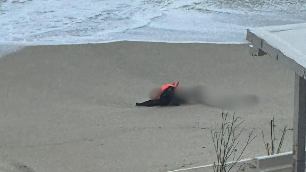 Cadavere in mare a Tropea, il racconto shock degli\u00A0studenti che hanno visto per primi il corpo in balia delle onde: «Poi si è spiaggiato, è stato terribile»\n