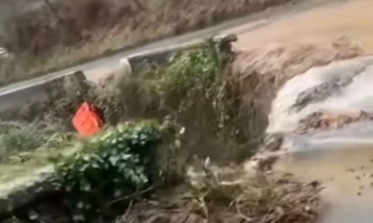 Carpanzano quasi isolata, De Cicco: «Competenza Anas, servono interventi urgenti»\n