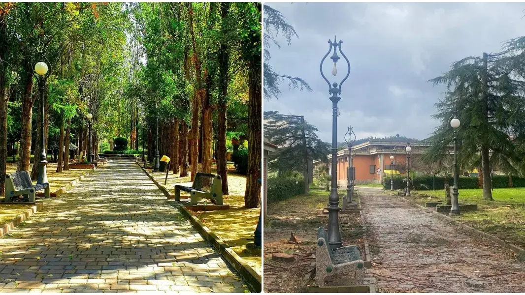 Caulonia e la strage di alberi alla villa comunale, l’amministrazione si difende: «Motivi di sicurezza»\n