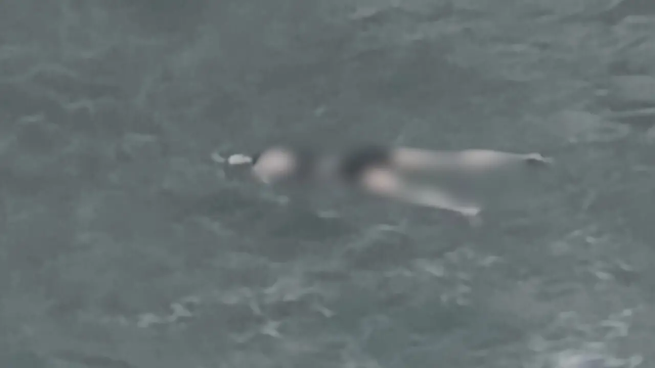 <p><a href=\"https://www.ilvibonese.it/cronaca/tropea-due-cadaveri-in-mare-avvistati-e-filmati-da-alcuni-studenti-la-mareggiata-rende-difficili-le-operazioni-di-recupero-rvq4ns9s\"><span style=\"color:hsl(0,75%,60%);\">Morire in mare</span></a> senza che nessuno se ne accorga: si ipotizza una strage di migranti (1.000) dietro il ritrovamento dei cadaveri sulle spiagge calabresi</p>