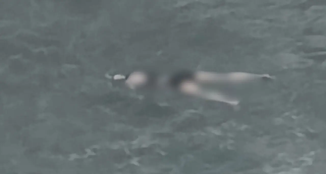 <p>Morire in mare senza che nessuno se ne accorga: si ipotizza una strage di migranti (1.000) dietro il ritrovamento dei cadaveri sulle spiagge calabresi</p>