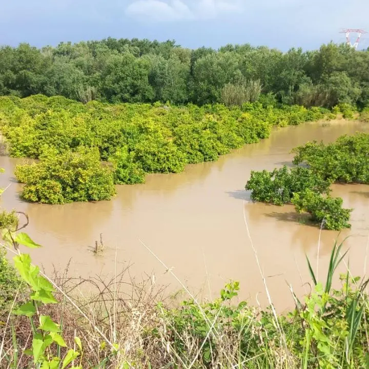 Esondazioni a Corigliano Rossano, il Comune: «Necessario allontanarsi dalle abitazioni a monte dell'argine del Coscile»\n