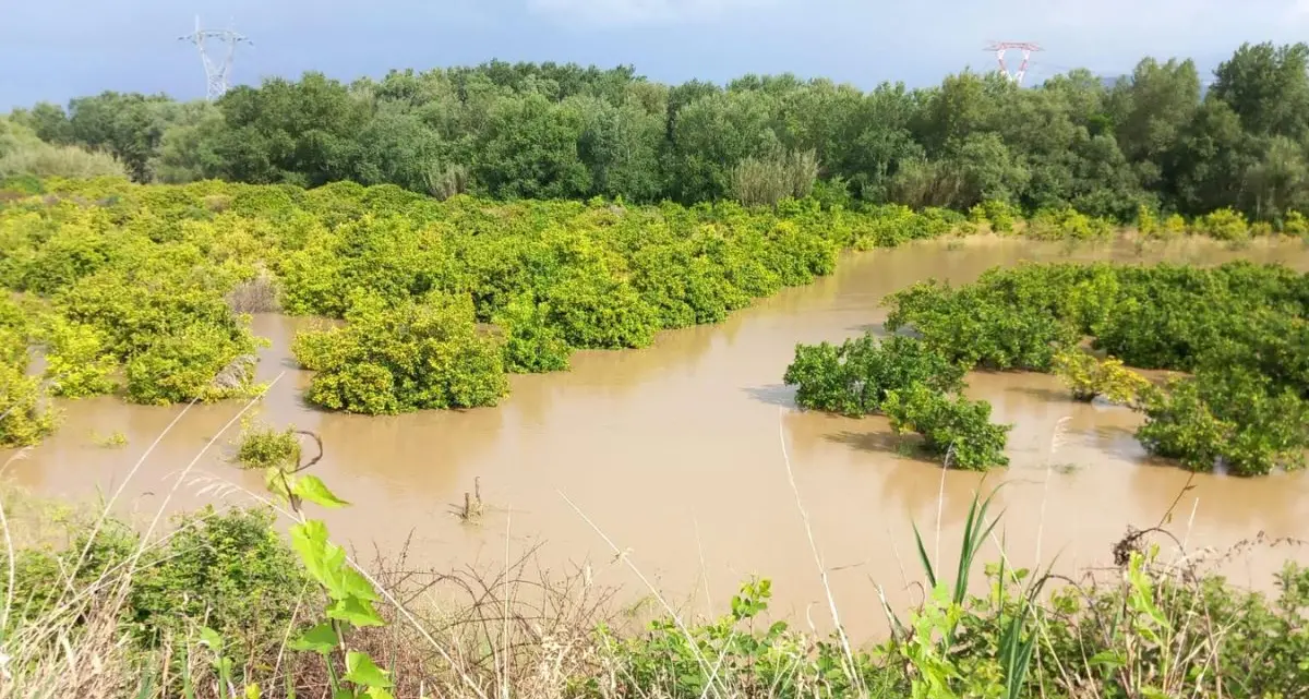 Esondazioni a Corigliano Rossano, il Comune: «Necessario allontanarsi dalle abitazioni a monte dell'argine del Coscile»\n