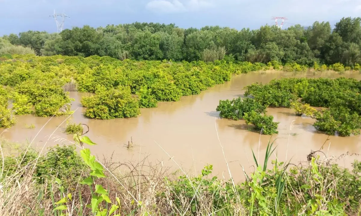 Esondazioni a Corigliano Rossano, il Comune: «Necessario allontanarsi dalle abitazioni a monte dell'argine del Coscile»\n