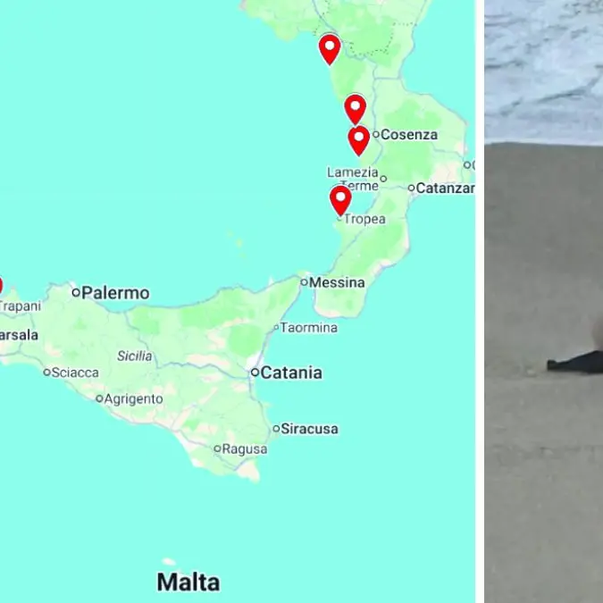 Gli 8 barconi dispersi e la mappa dei cadaveri sulle coste di Calabria e Sicilia: il mare racconta\u00A0la tragedia invisibile\n
