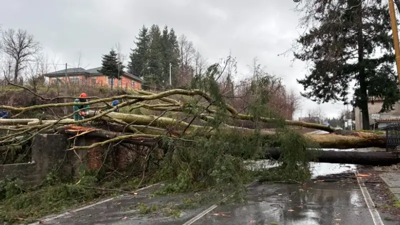 <p>Emergenza maltempo, via libera dalla Prociv nazionale: <span style=\"color:hsl(0, 75%, 60%);\">anche Vibo</span> tra i 55 comuni inclusi nell’ordinanza</p>