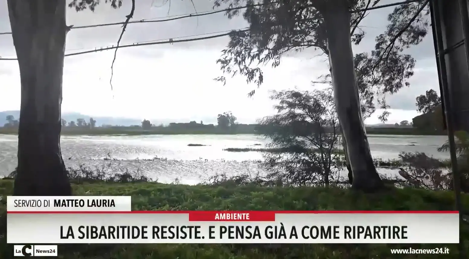 La Sibaritide resiste e pensa già a come ripartire