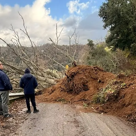 Piani di Arena, rimossi albero e detriti fangosi che avevano devastato la strada comunale\n