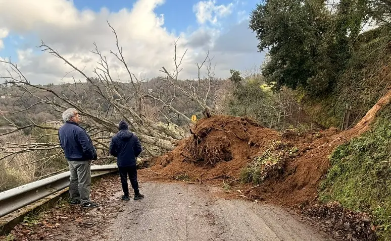 Piani di Arena, rimossi albero e detriti fangosi che avevano devastato la strada comunale\n