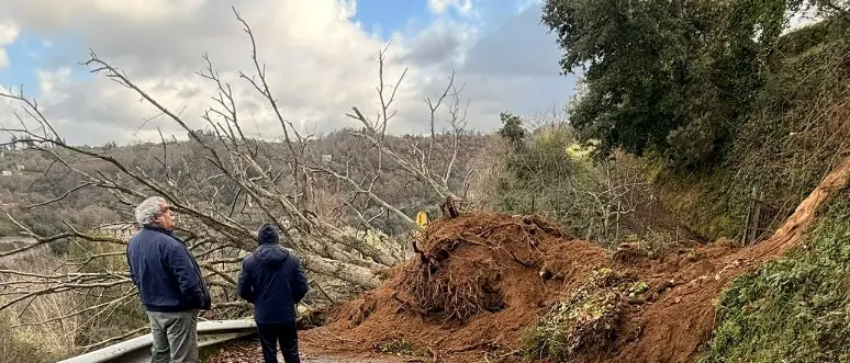 Piani di Arena, rimossi albero e detriti fangosi che avevano devastato la strada comunale\n