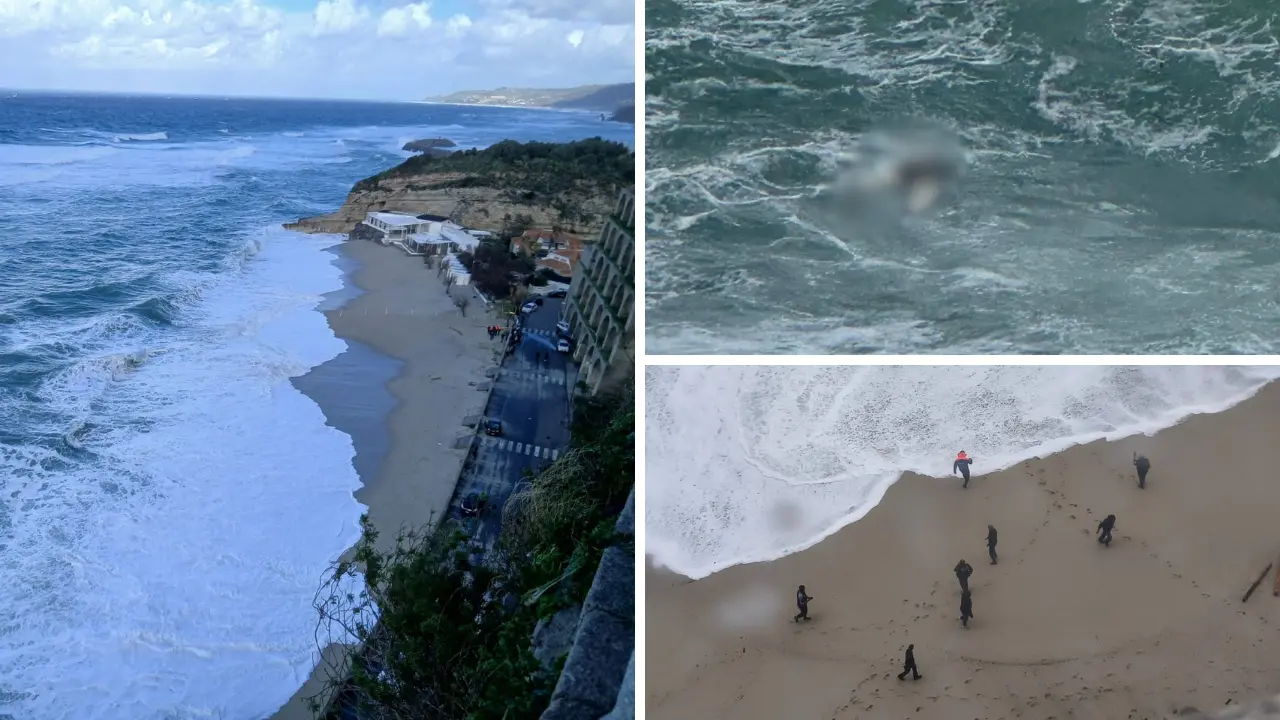 I cadaveri dei migranti sulle spiagge di Calabria e Sicilia, a gennaio 450 morti in mare: «Colpa della nostra indifferenza»