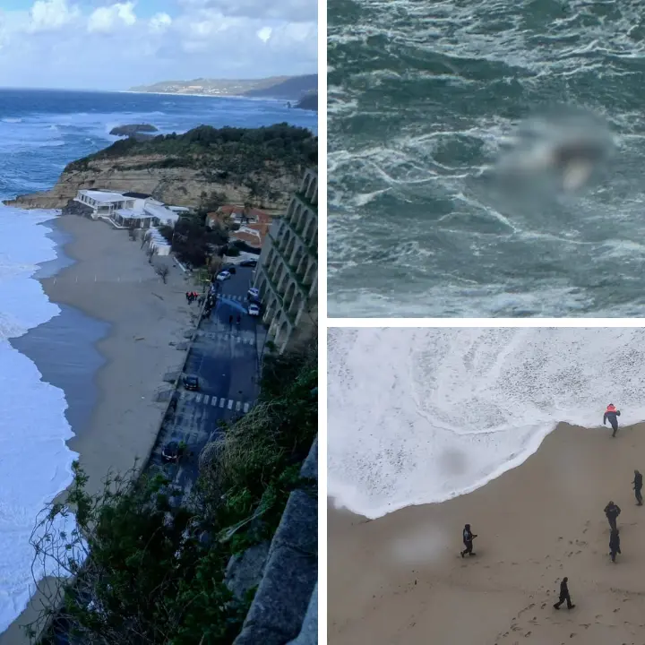 I cadaveri dei migranti sulle spiagge di Calabria e Sicilia, a gennaio 450 morti in mare: «Colpa della nostra indifferenza»