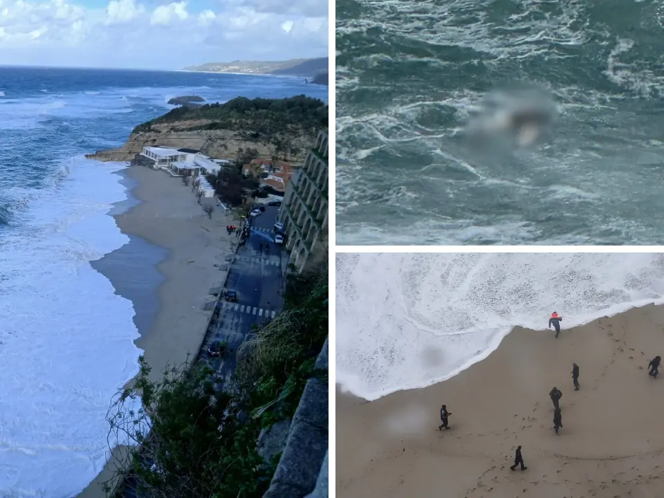 I cadaveri dei migranti sulle spiagge di Calabria e Sicilia, a gennaio 450 morti in mare: «Colpa della nostra indifferenza»