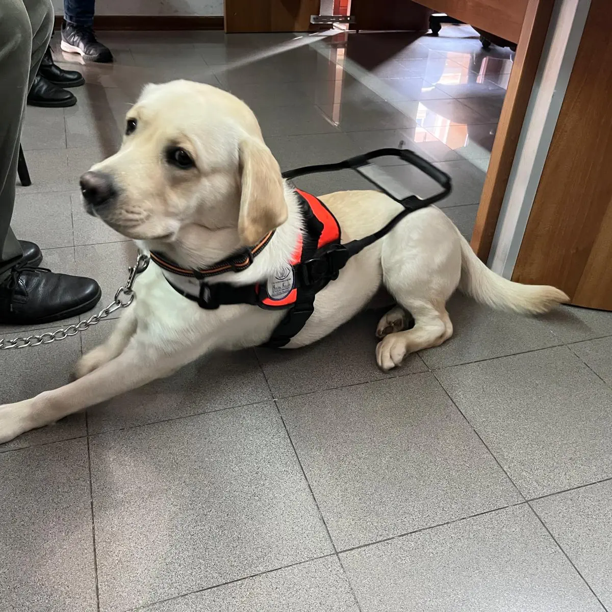 UICI di Reggio Calabria incontra gli studenti dell’indirizzo Ottico del Polo Tecnico “Righi – Boccioni – Fermi”\n