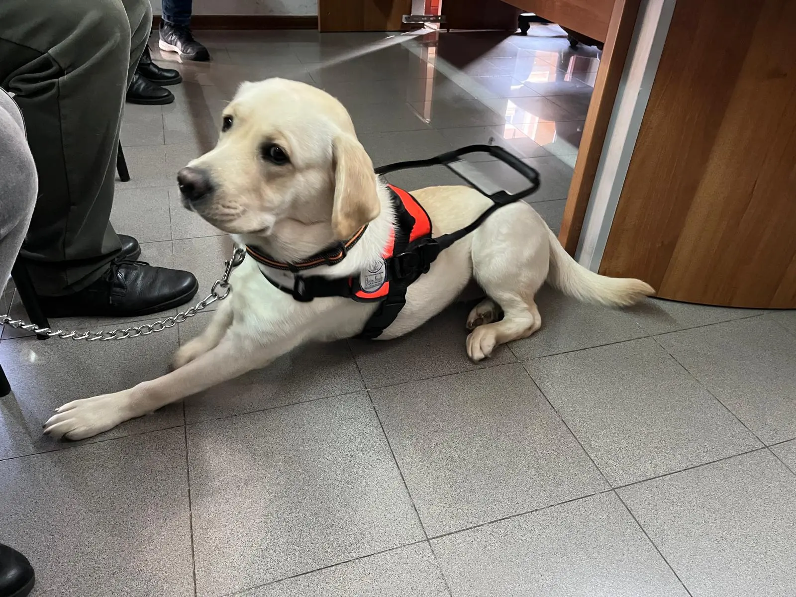 UICI di Reggio Calabria incontra gli studenti dell’indirizzo Ottico del Polo Tecnico “Righi – Boccioni – Fermi”\n