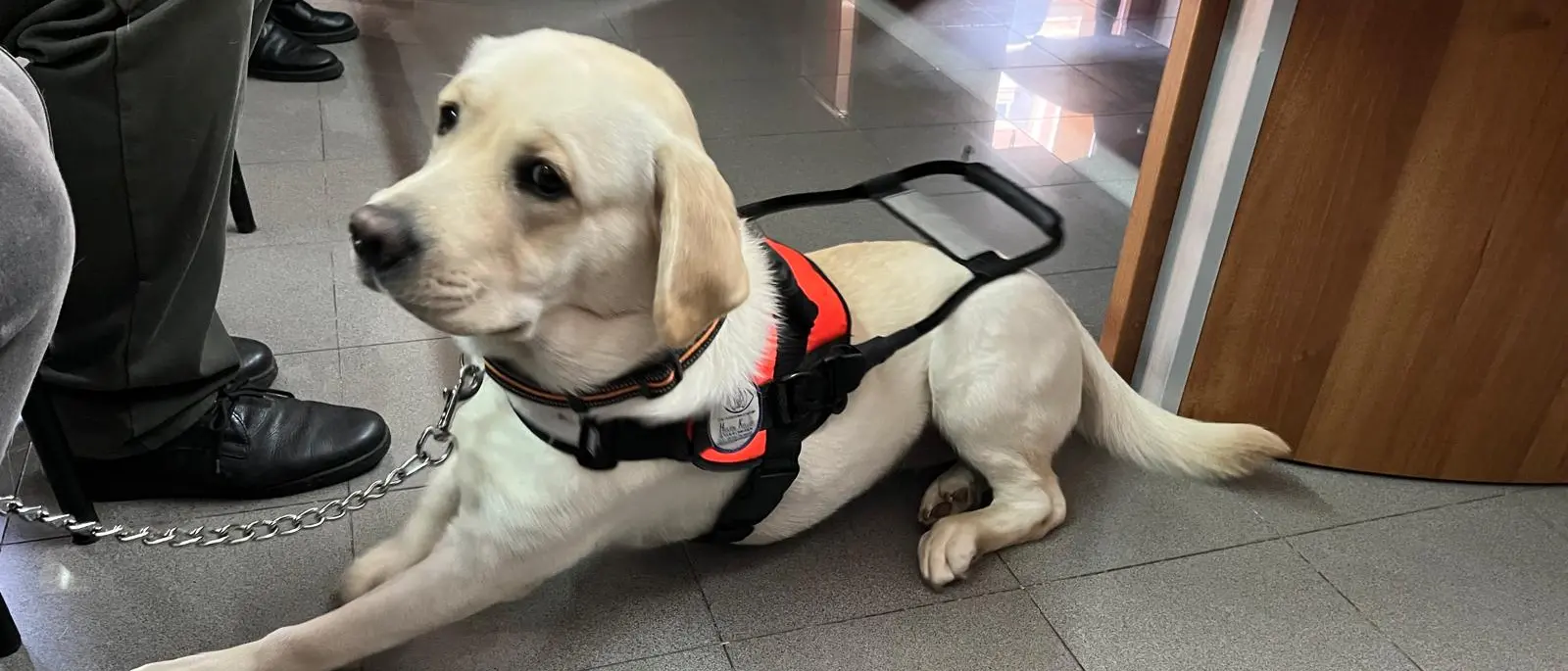 UICI di Reggio Calabria incontra gli studenti dell’indirizzo Ottico del Polo Tecnico “Righi – Boccioni – Fermi”\n