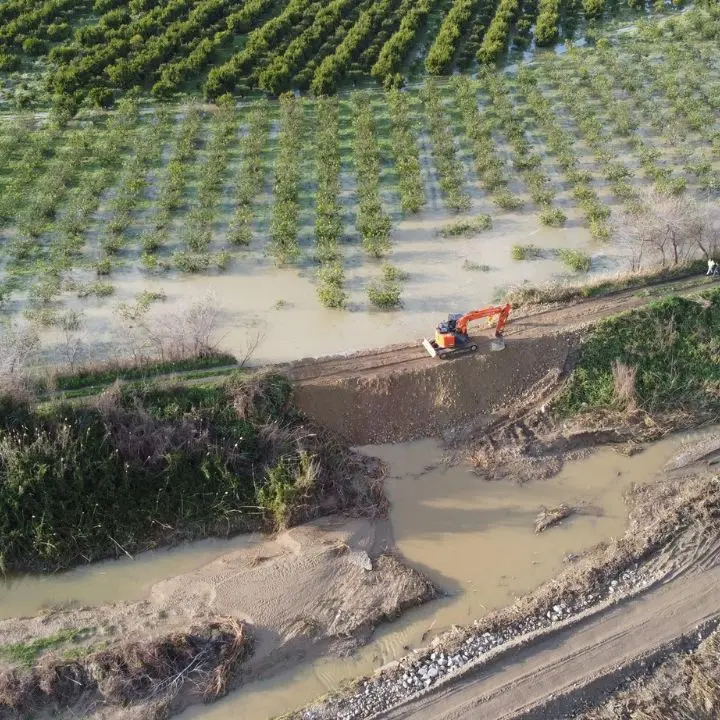 Oltre 3mila ettari devastati dal maltempo in tutta la Calabria, Coldiretti: «Costi di ripristino elevatissimi»\n