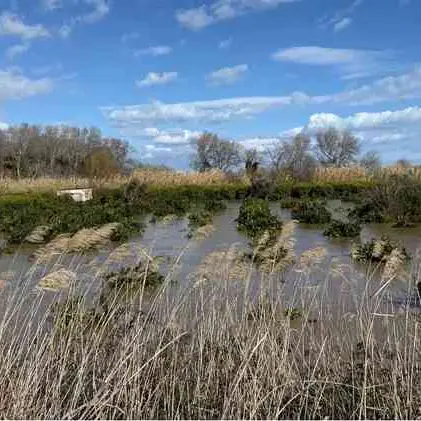 <p>Cassano, dopo l'esondazione del Crati revocata l'ordinanza di divieto di permanenza ai piani bassi</p>