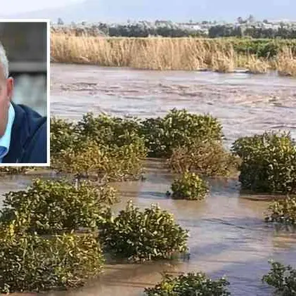 Maltempo in Calabria, Gallo: «Chiesta la calamità in agricoltura, aspettiamo una stima precisa dei danni»\n