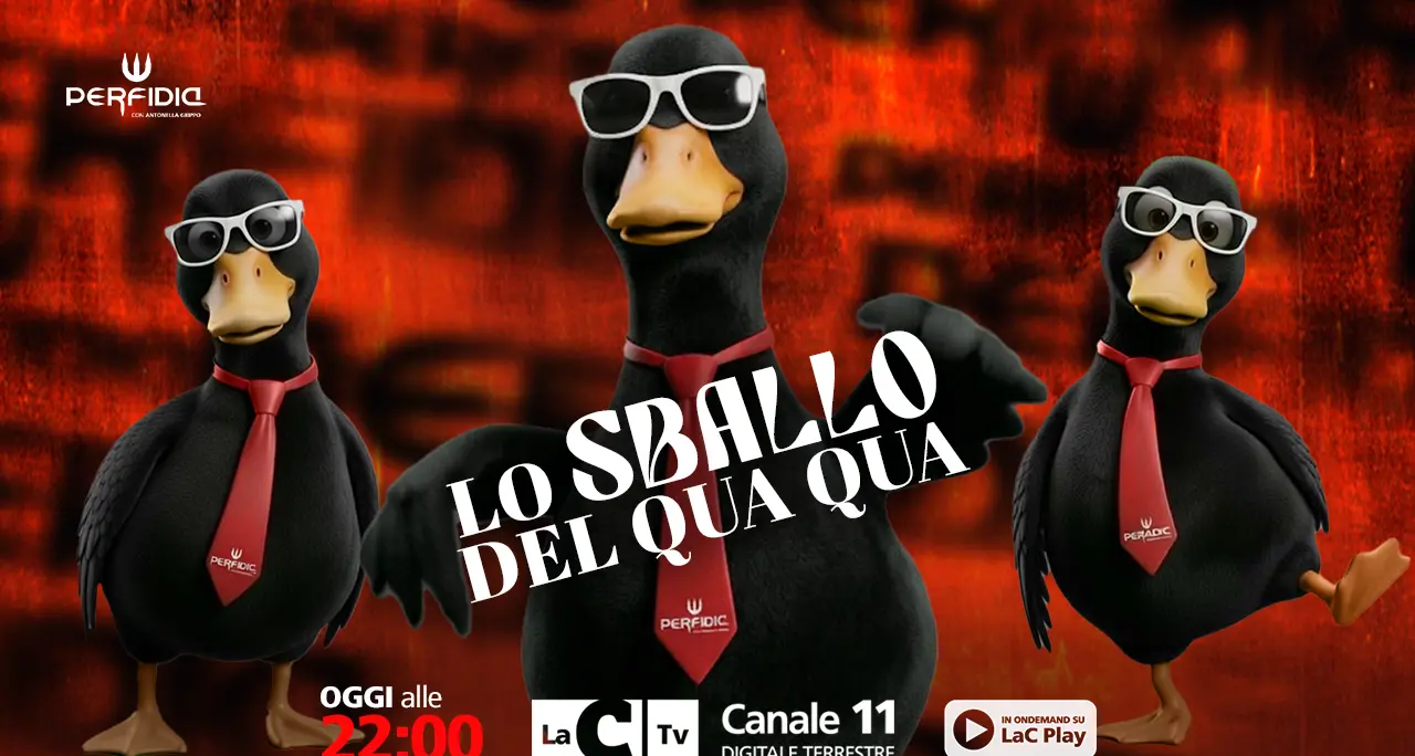 Quando la politica si impapera: “Lo sballo del Qua Qua” nella nuova puntata di Perfidia\n