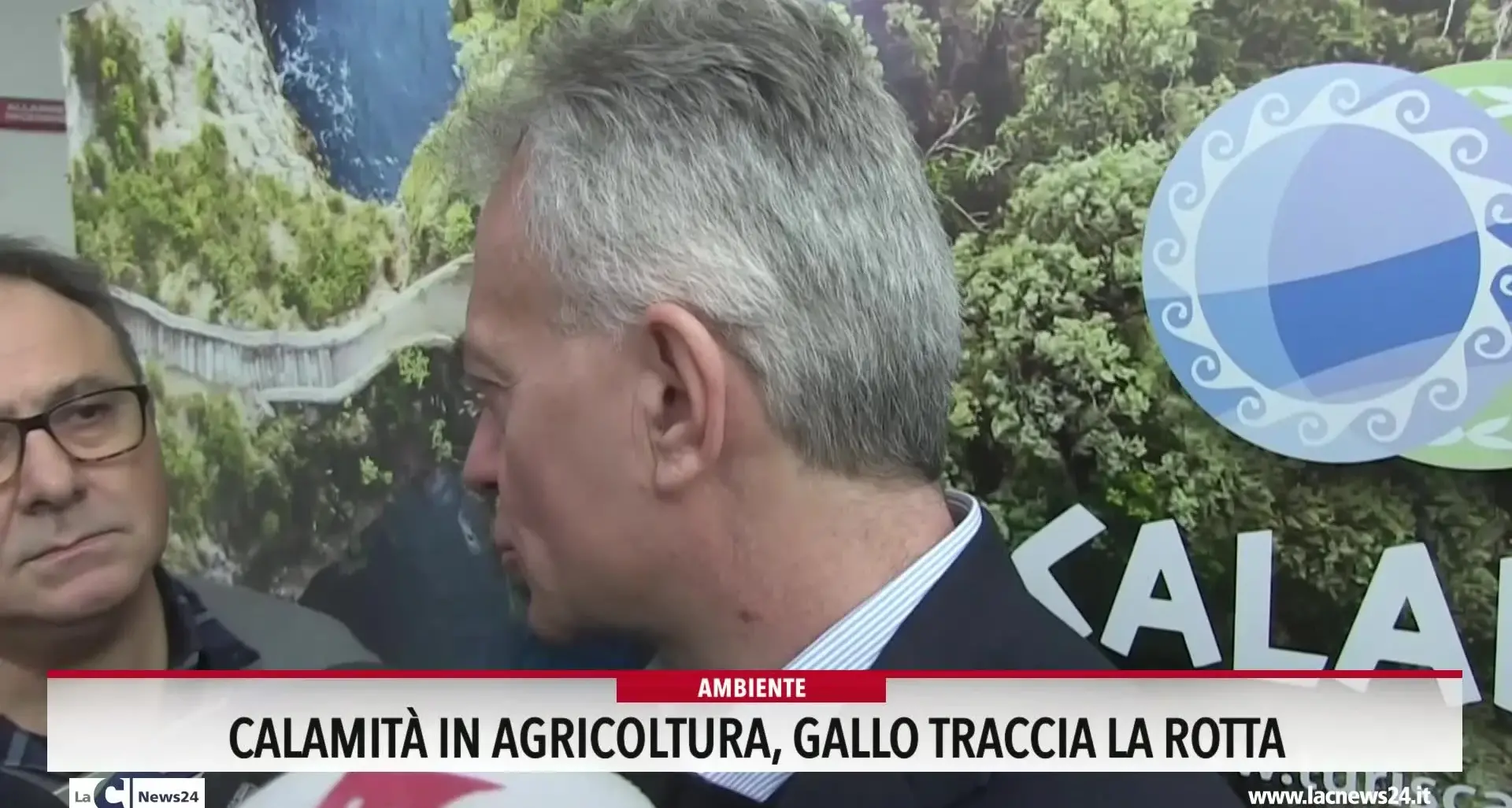Calamità in agricoltura, Gallo traccia la rotta