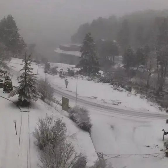 Il ciclone Pedro in Calabria porta temporali, grandinate e forti raffiche di vento. In Sila e Pollino lo spettacolo della neve\n