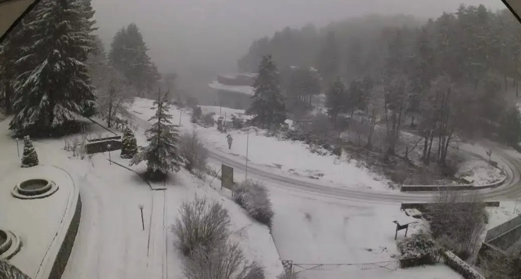 <p>Il <span style=\"color:hsl(0, 75%, 60%);\">ciclone Pedro </span>in Calabria porta temporali, grandinate e forti raffiche di vento. In Sila e Pollino lo spettacolo della neve</p>