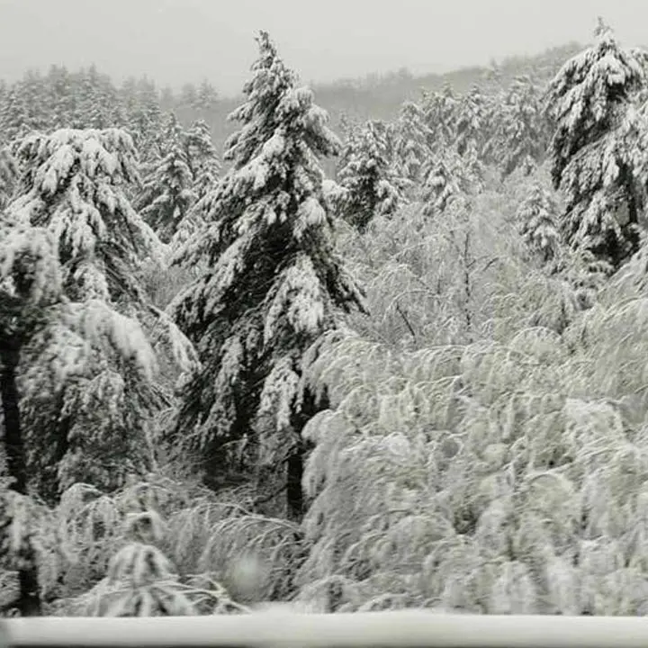 Ciclone Pedro con neve, pioggia intensa e vento: cosa sta succedendo a Cosenza e provincia\n