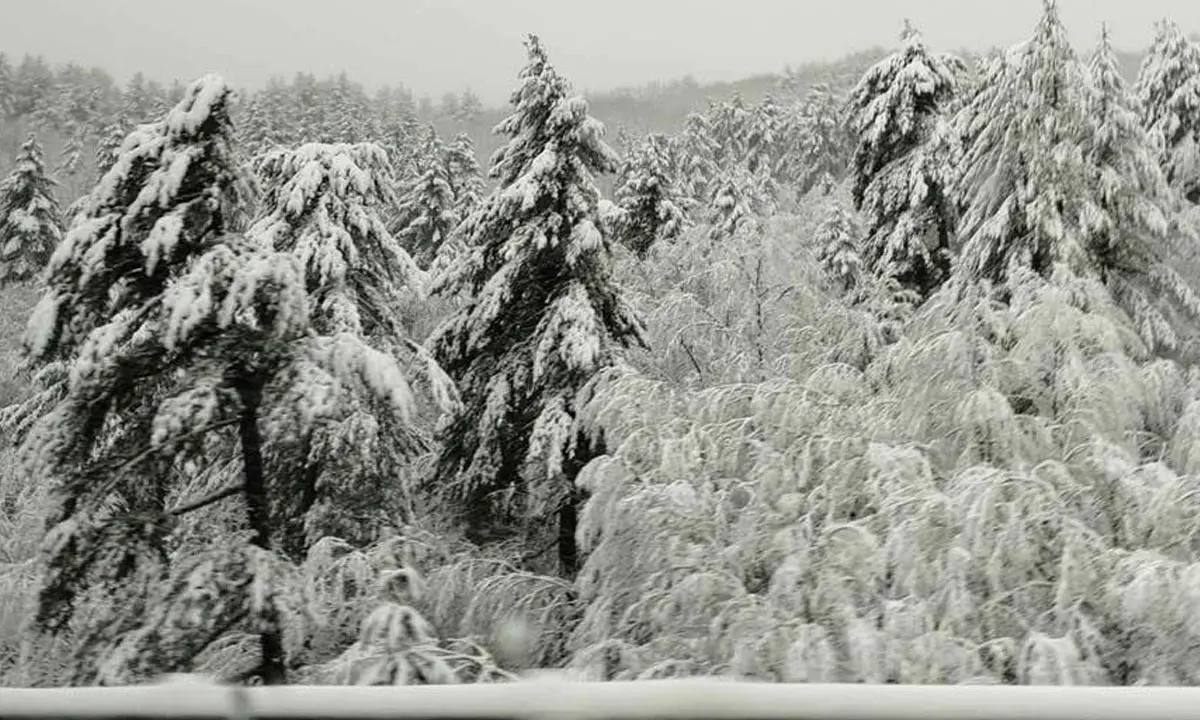 Ciclone Pedro con neve, pioggia intensa e vento: cosa sta succedendo a Cosenza e provincia\n