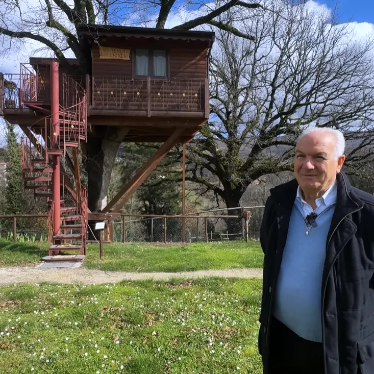 A Rogliano la magia della casa sull’albero che unisce ingegno, natura e sogni d’infanzia in Calabria\n