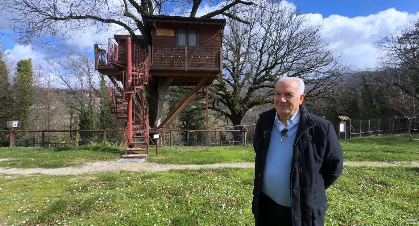 A Rogliano la magia della casa sull’albero che unisce ingegno, natura e sogni d’infanzia in Calabria\n