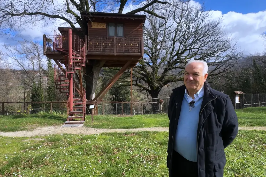 A Rogliano la magia della casa sull’albero che unisce ingegno, natura e sogni d’infanzia in Calabria\n