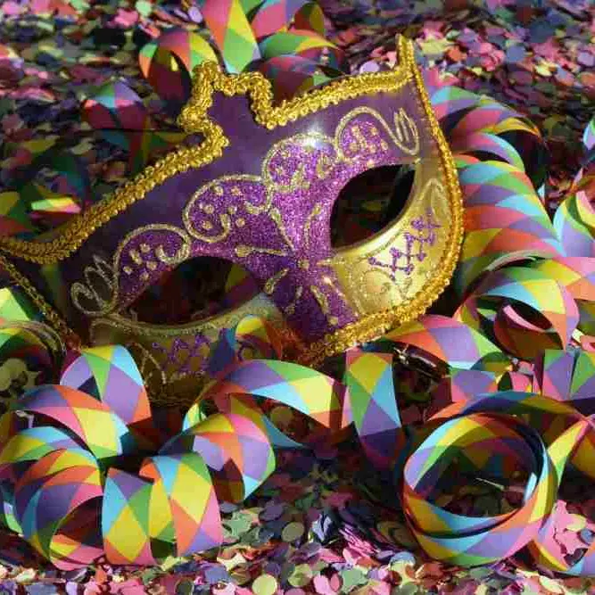 A San Costantino Calabro conto alla rovescia per l'edizione 2026 del Carnevale\n