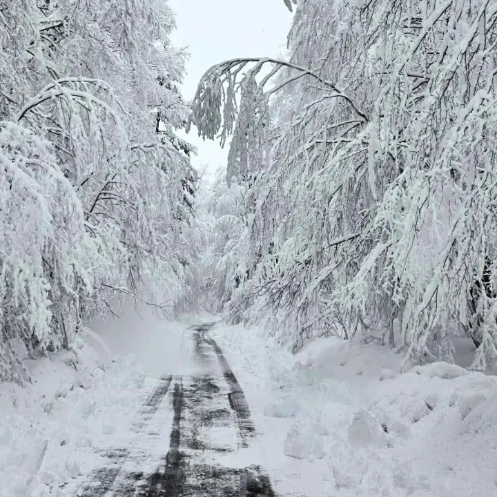 <p>La <span style=\"color:hsl(0, 75%, 60%);\">Sila </span>sotto una fiaba di neve: ecco la situazione delle piste a Lorica e Camigliatello</p>