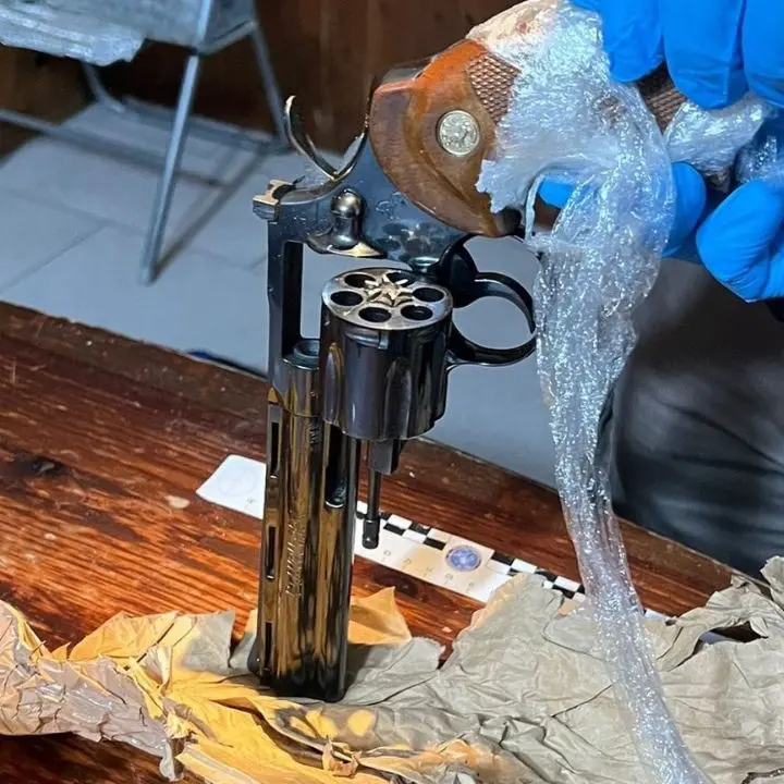 Reggio Calabria, arrestati due fratelli per detenzione di armi, munizioni di vario calibro e droga\n