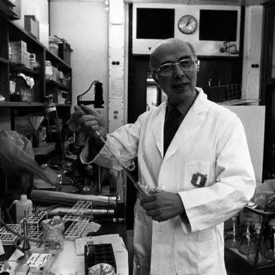 <p>Renato Dulbecco, da Catanzaro al Nobel per la medicina: ritratto del genio che ha mappato il destino dell’umanità</p>