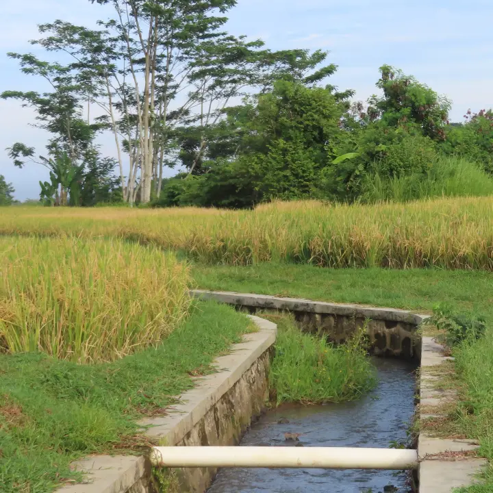 Consorzio unico di bonifica, esplode la protesta degli agricoltori vibonesi: «Basta pagare per opere non realizzate»\n