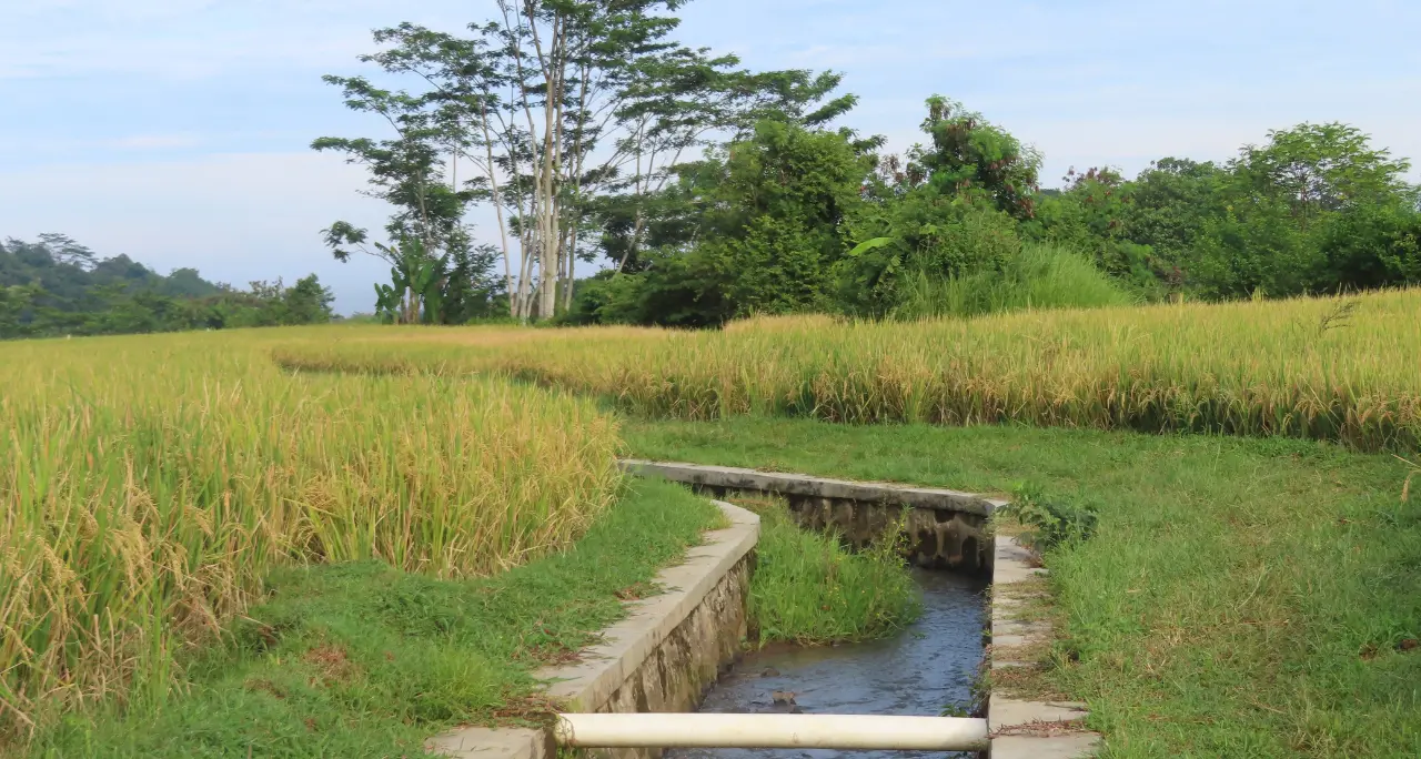 Consorzio unico di bonifica, esplode la protesta degli agricoltori vibonesi: «Basta pagare per opere non realizzate»\n