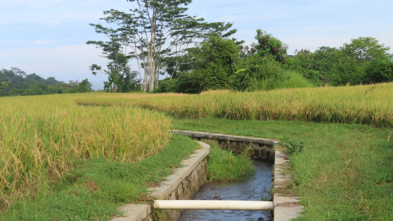 Consorzio unico di bonifica, esplode la protesta degli agricoltori vibonesi: «Basta pagare per opere non realizzate»\n