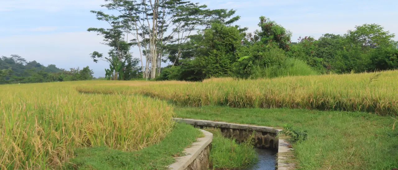 Consorzio unico di bonifica, esplode la protesta degli agricoltori vibonesi: «Basta pagare per opere non realizzate»\n