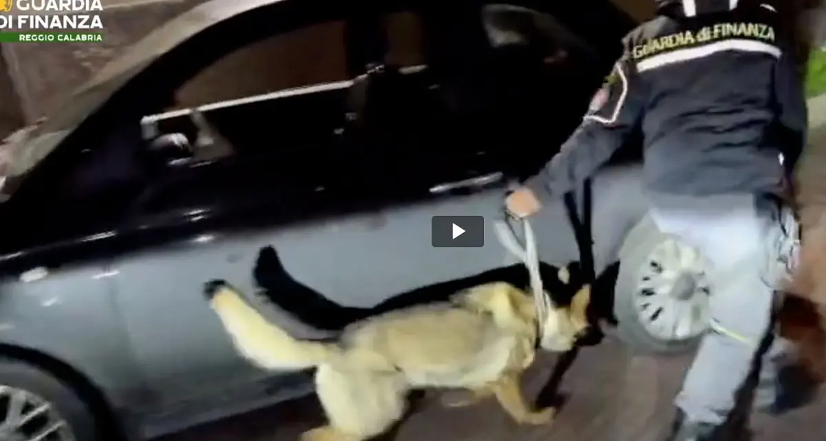 <p>Portavano 4 chili di cocaina in Sicilia, in manette due corrieri della droga <span style=\"background-color:rgb(247,249,252);color:rgb(14,30,57);\">| VIDEO</span></p>