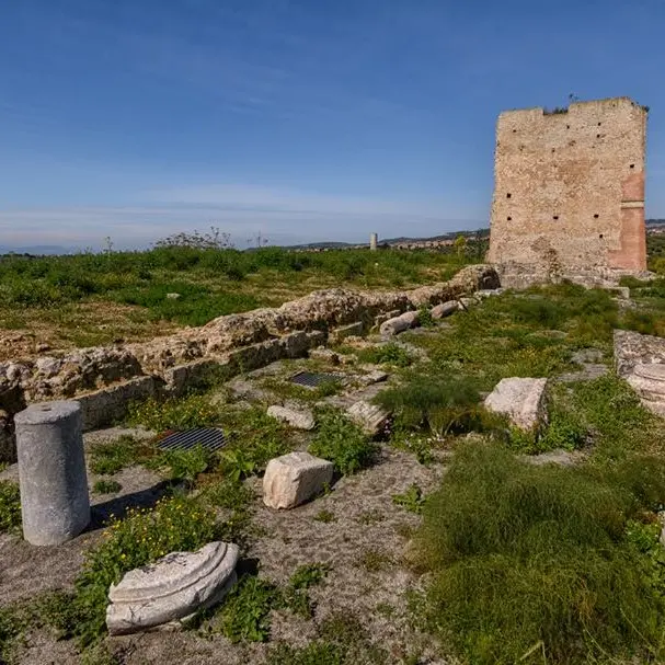 Intesa tra Soprintendenza Abap e Università europea di Roma per lo sviluppo del Parco archeologico di Mileto antica\n