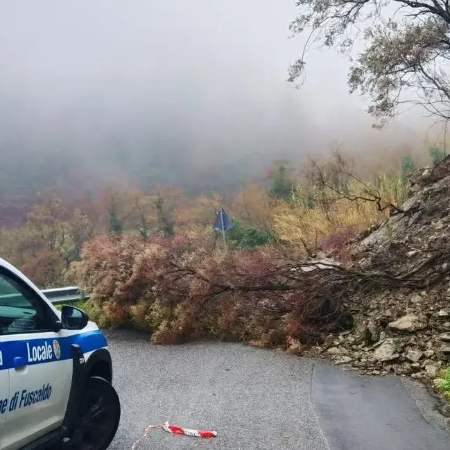 <p>Crepe in casa dopo una frana, a Fuscaldo evacuate 4 famiglie: altre 10 erano state sgomberate tra Diamante e Belvedere</p>