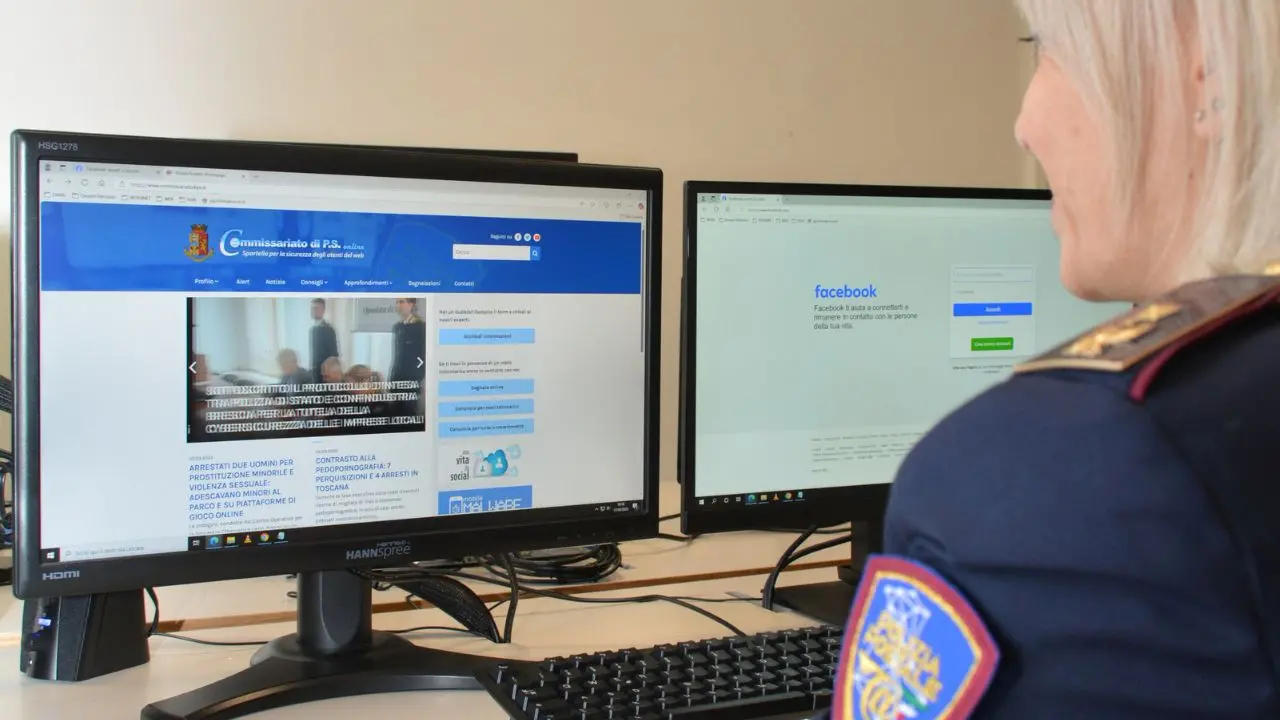 Phishing su Whatsapp, l’allarme della Polizia vibonese: «Attenzione alla “truffa della ballerina” con cui prendono il controllo del telefono»\n